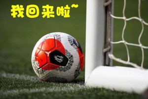  球队易主重组，新赛季目标直指冠军